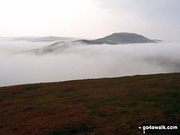 Hownam Law appearing through the mist during a Temperature Inversion from The St Cuthbert's Way on Wideopen Hill Walking St Cuthbert's Way - Day 4