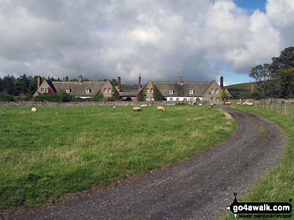 Walk n167 The Cheviot from Hethpool - The St Cuthbert's Way approaching Hethpool