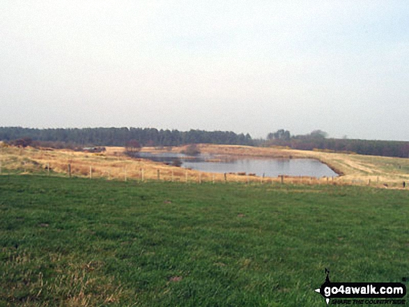 Walk n159 Ros Castle (Ross Castle) from Hepburn Wood - On The St Cuthbert's Way at Blawearie near Fenwick