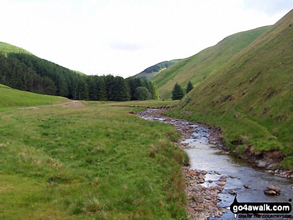 Walk n140 Cushat Law and Bloodybush Edge from Alwinton - The River Alwin at Kidland Forest