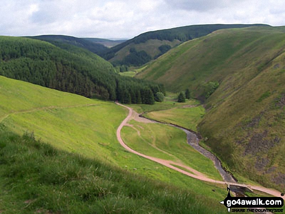 Walk n140 Cushat Law and Bloodybush Edge from Alwinton - The River Alwin, Alwindale and Kidland Forest with Inner Hill and Puncherton Hill beyond from Clennell Street