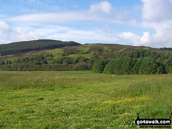 Walk n172 Usway Burn and Clennel St from Alwinton - The view from Alwinton Car Park