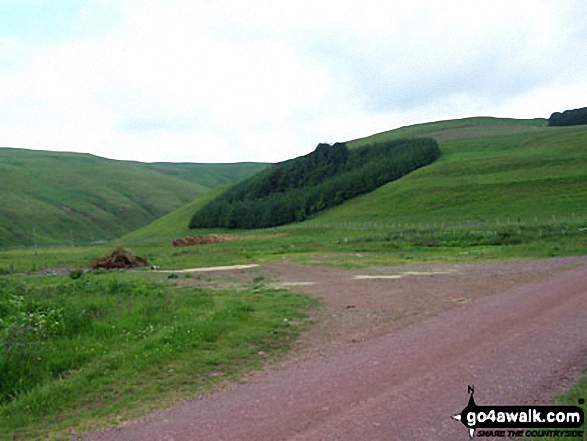 Walk n140 Cushat Law and Bloodybush Edge from Alwinton - The southern end of Alwindale