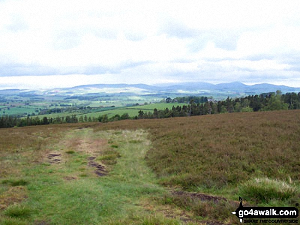 Walk n115 Target Plantation from Rothbury - Looking West from Glitteringstone