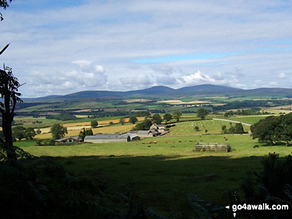 Walk n159 Ros Castle (Ross Castle) from Hepburn Wood - The Cheviot Hills from Hepburn Wood