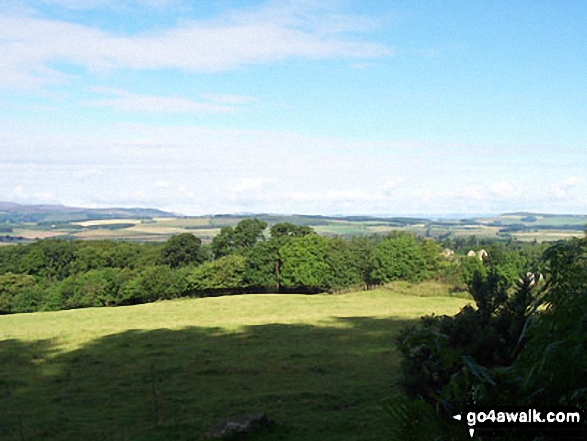 Walk n159 Ros Castle (Ross Castle) from Hepburn Wood - Looking West North West from Hepburn Wood