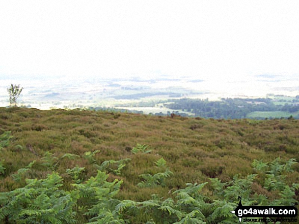 Looking west from Ros Hill 