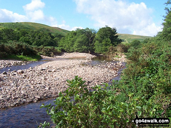 Walk n146 Wooler Common and Happy Valley (Low Level Route) from Wooler - Carey Burn near Broom Crook Plantation