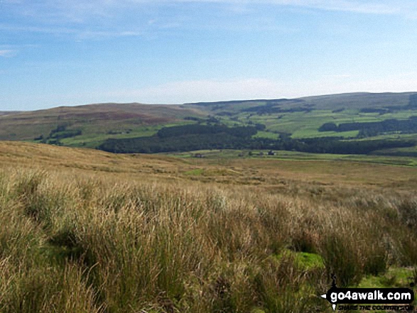View from Black Hill (Whitley Common)
