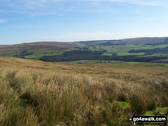 Walk n114 Grey Nag and Black Fell (Haresceugh Fell) from Gilderdale Bridge - View from Black Hill (Whitley Common)