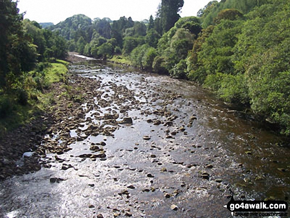 Walk n122 The South Tyne from Haltwhistle - River South Tyne at Alston