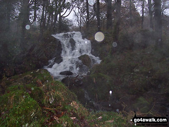 Walk c121 Tarn Hows and Yew Tree Tarn from Tom Gill - Bottom of Tom Gill Falls near Tarn Hows