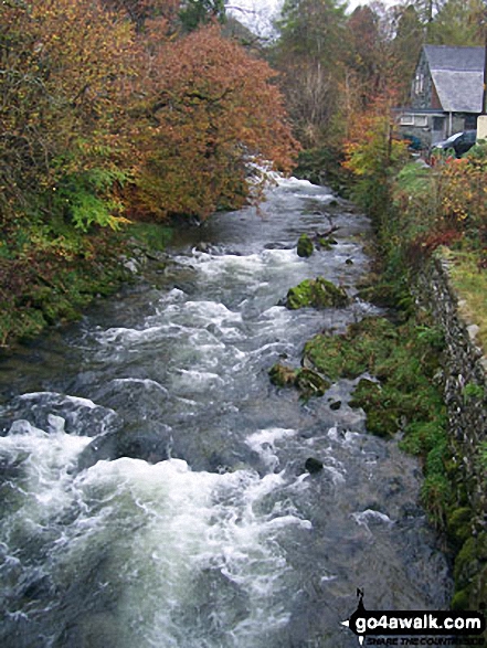 Walk c238 Lingmoor Fell and Great Langdale from Elterwater - Great Langdale Beck at Elterwater