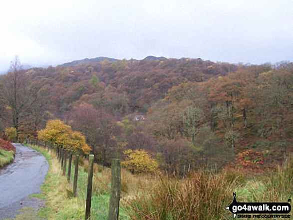 Walk c165 Little Langdale from Elterwater - View west from the road at High Park