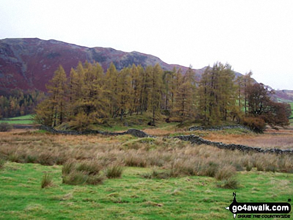 Walk c165 Little Langdale from Elterwater - Near Little Langdale Tarn