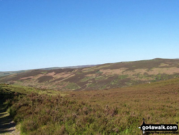 Lord's Seat (Coquetdale) from West Wood 