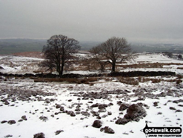 View from Rothbury Terraces 