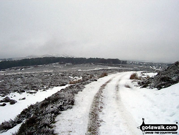 Walk n115 Target Plantation from Rothbury - View from Rothbury Terraces