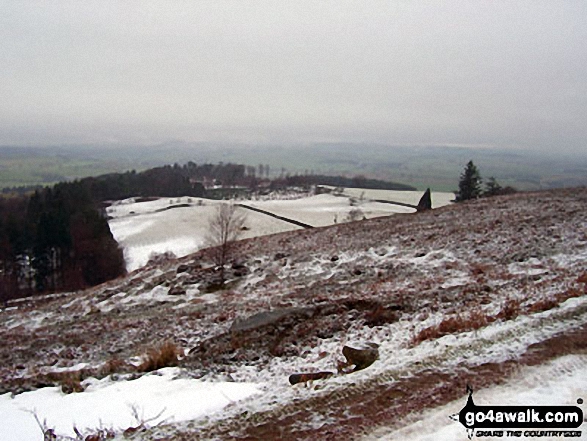 Walk n115 Target Plantation from Rothbury - View from Rothbury Terraces