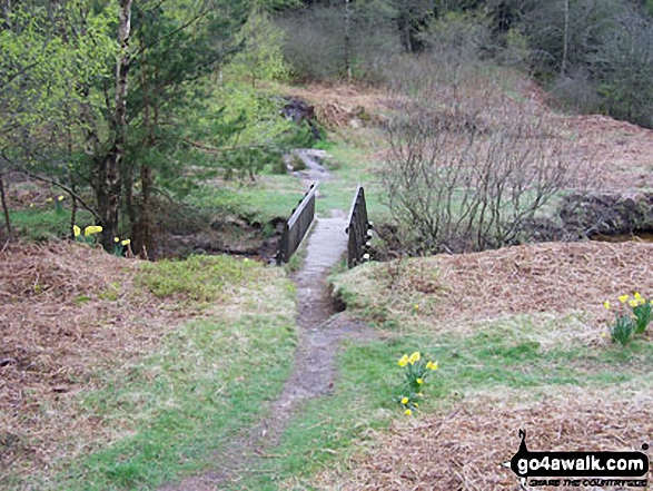 Footbridge at Coe Burn 