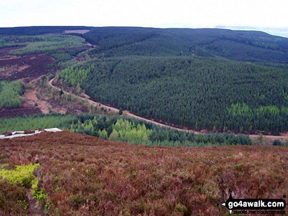 Walk n136 Long Crags from Thrunton Wood - North from Long Crag