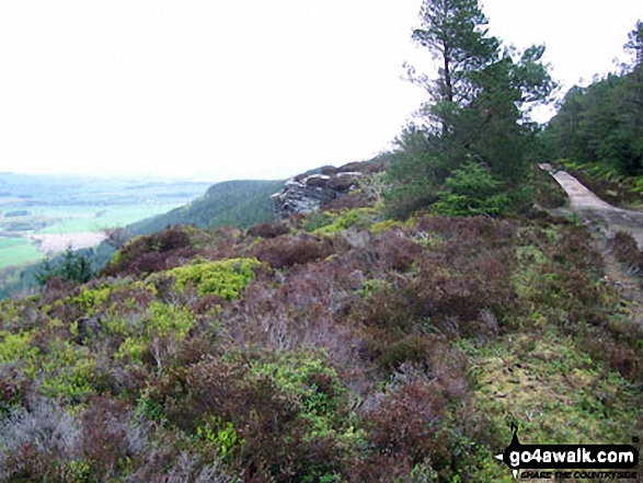 View NE from Thrunton Crag 