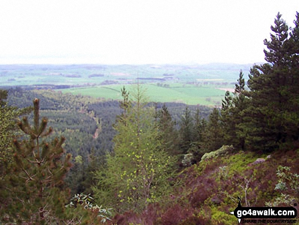 Looking North from Thrunton Crag 