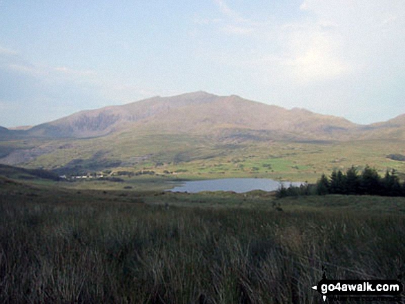 Walk gw164 The full Nantlle Ridge and Craig Cwm Silyn from Rhyd-Ddu - The Snowdon Massif - Garnedd Ugain (Crib y Ddysgl), Snowdon (Yr Wyddfa) & Y Lliwedd  beyond Llyn-y-Gader from Cwm Marchnad at the northern edge of Beddgelert Forest