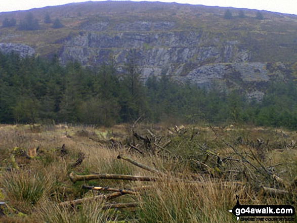 Pantmaenog Forest Slate Mine from Rosebush 