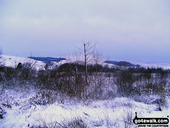 The Preseli Hills from Rosebush in the snow 