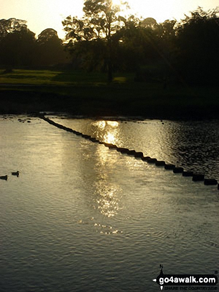 The famous stepping stones over the River Wharfe at Bolton Abbey, Wharfedale 