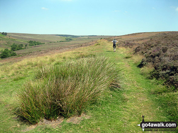 Walk ny277 Ana Cross from Hutton-le-Hole - Walking on Hutton Ridge