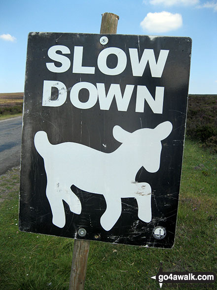 Walk ny277 Ana Cross from Hutton-le-Hole - Road sign near Ana Cross