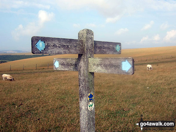 Walk es144 Firle Beacon from Alfriston - Signpost between Bostal Hill & Firle Beacon