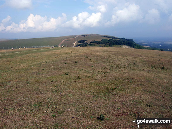 Walk es144 Firle Beacon from Alfriston - Firle Beacon from Bostal Hill