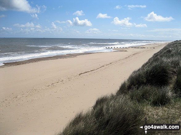 Walk nf145 Horsey from Winterton-on-Sea - Winterton Dunes National Nature Reserve