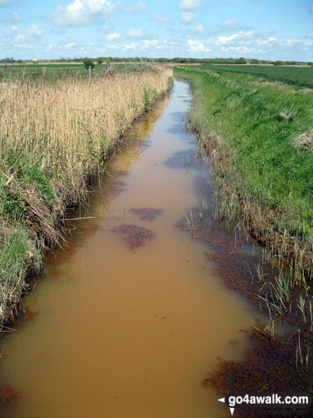 Walk nf104 Horsey Mere from Horsey - Drainage dyke near Horsey Corner