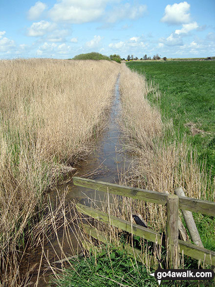 Walk nf104 Horsey Mere from Horsey - Drainage dyke near Horsey