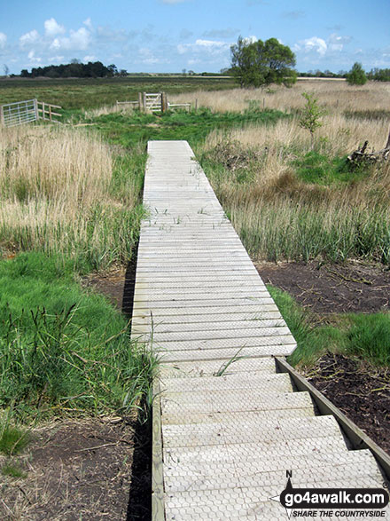 Walk nf145 Horsey from Winterton-on-Sea - Duckboards near Horsey Drainage Mill