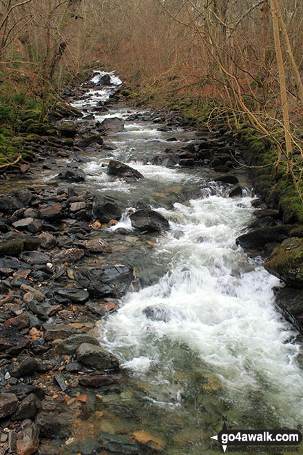 Walk pk105 The Birks of Aberfeldy from Aberfeldy - Moness Burn in the Birks of Aberfeldy