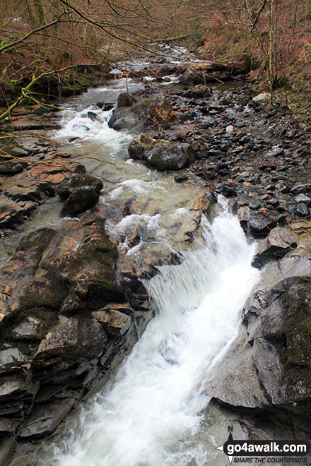 Walk pk105 The Birks of Aberfeldy from Aberfeldy - Moness Burn in Moness Dun Wood, the Birks of Aberfeldy