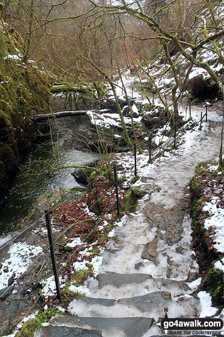 Walk pk105 The Birks of Aberfeldy from Aberfeldy - The walkway in the Birks of Aberfeldy