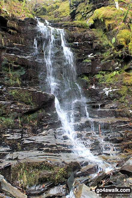 One of the many waterfalls in the Birks of Aberfeldy 