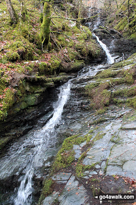 Walk pk105 The Birks of Aberfeldy from Aberfeldy - Another of the many pretty waterfalls in the Birks of Aberfeldy