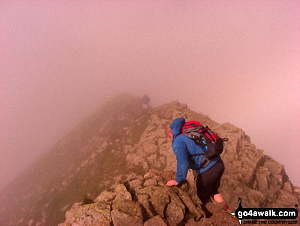 Walk c220 Helvellyn via Striding Edge from Glenridding - On Striding Edge in thick mist