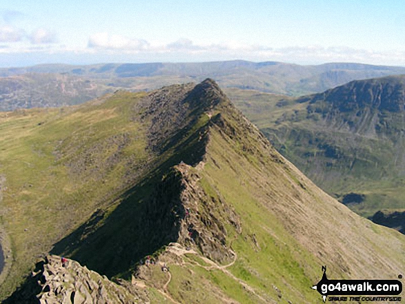 Striding Edge basking in glorious September Sun viewed from Helvellyn 