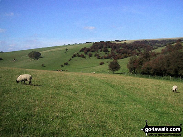 The Sussex Downs near Ditchling Beacon