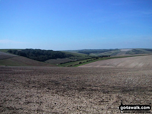 The Sussex Downs near Ditchling Beacon