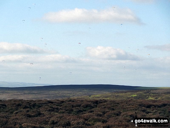 Hang Gliders from Midland Gliding Club on The Long Mynd