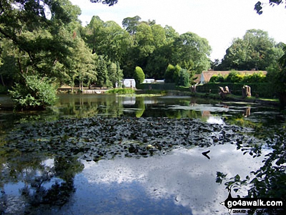 Walk su168 Tandridge from Godstone - Leigh Place Pond near Godstone